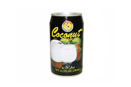 Q10.Lait de Coco(33cl)